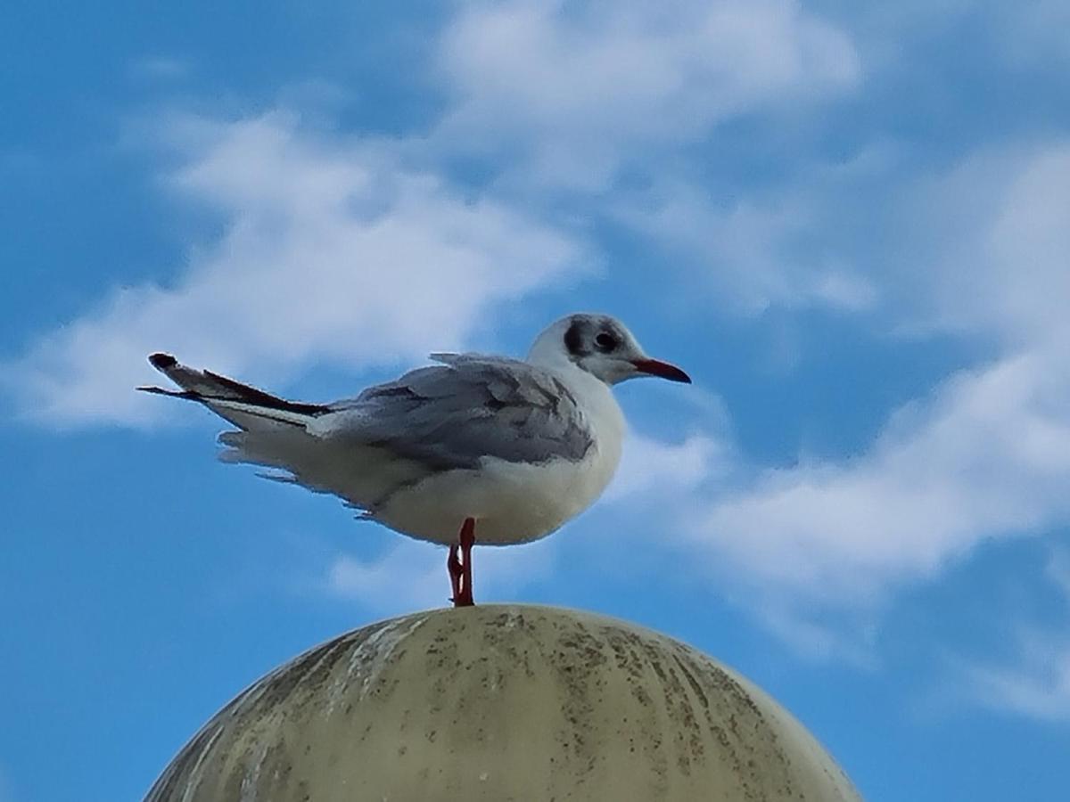 Strandhut 64 Sint Annaland Dış mekan fotoğraf