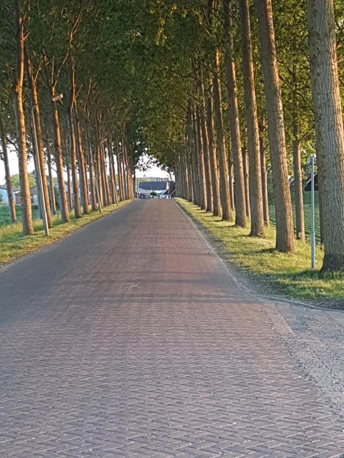 Strandhut 64 Sint Annaland Dış mekan fotoğraf